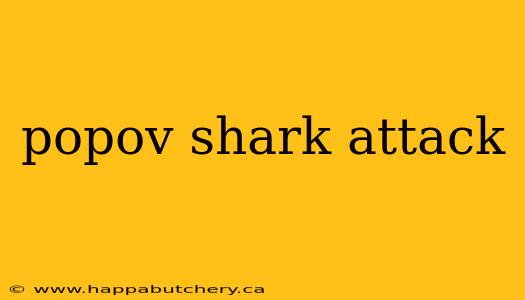 popov shark attack